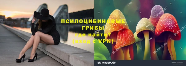 прущая мука Арсеньев