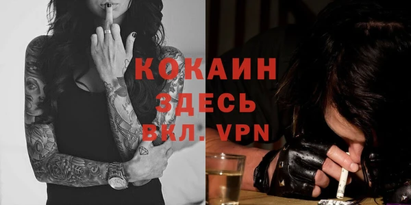 дмт Аркадак