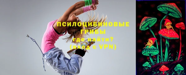 прущая мука Арсеньев