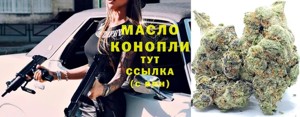 дмт Аркадак