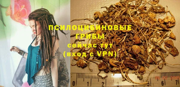 прущая мука Арсеньев