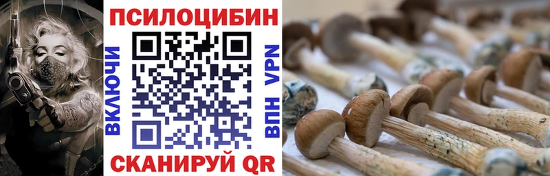 OMG   Крым  Галлюциногенные грибы мицелий  наркошоп 